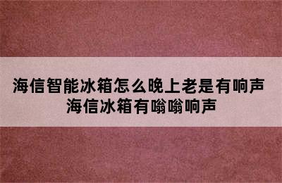 海信智能冰箱怎么晚上老是有响声 海信冰箱有嗡嗡响声